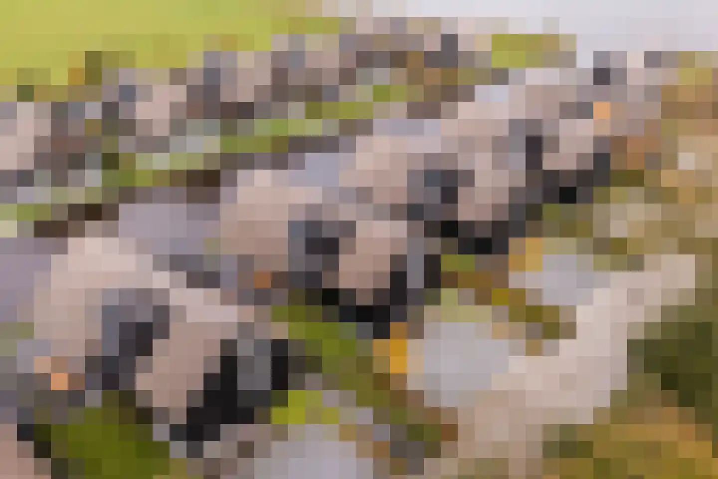 De Burd 25 B 012 Heeg thumbnail 47