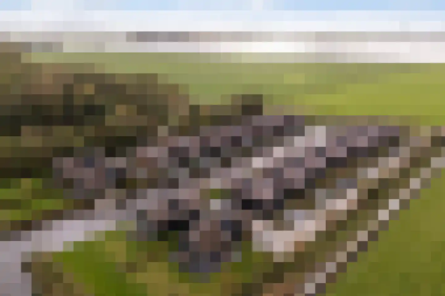 De Burd 25 B 012 Heeg thumbnail 5