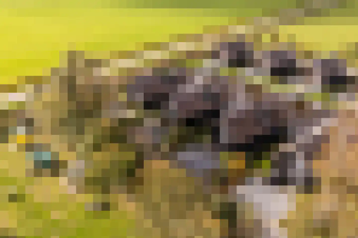 De Burd 25 B 012 Heeg thumbnail 50