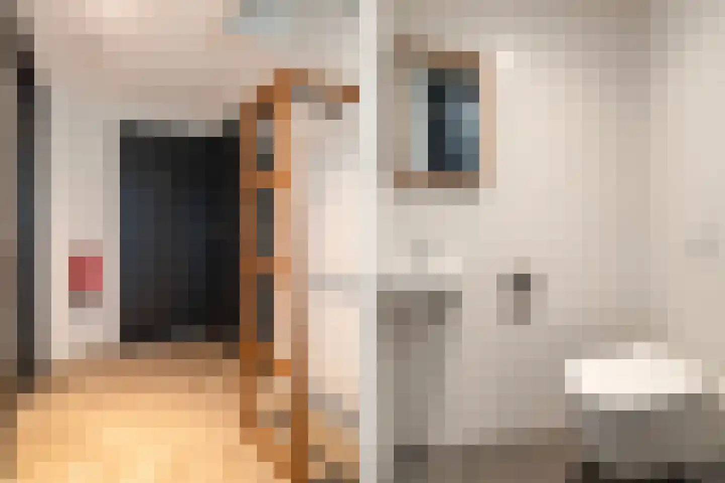 De Burd 25 B 012 Heeg thumbnail 7