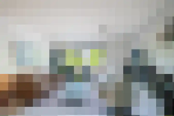 De Bus 19 Waalre thumbnail 11