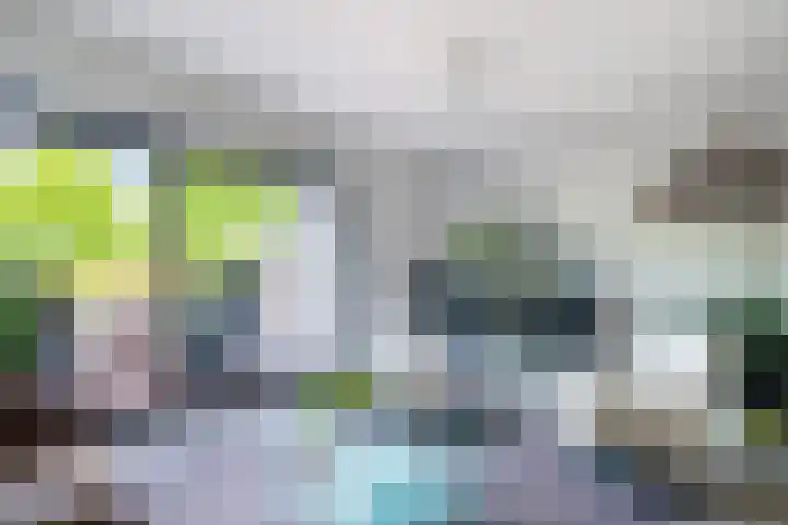De Bus 19 Waalre thumbnail 12
