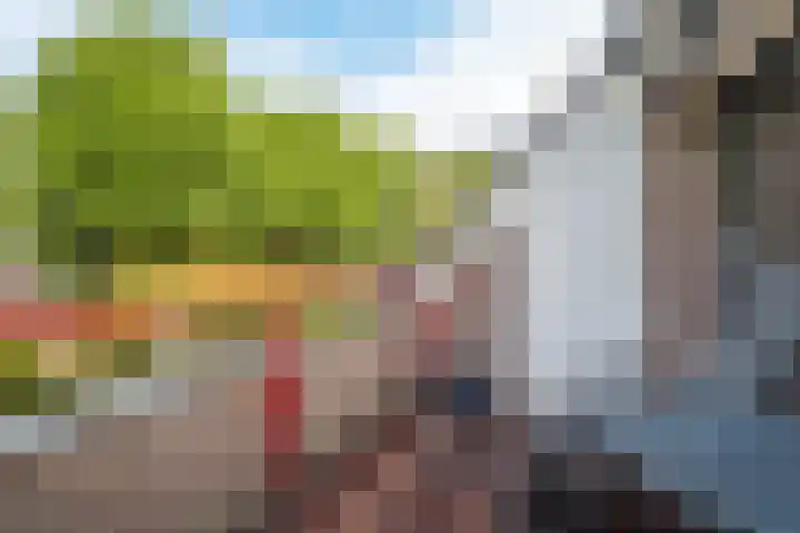 De Bus 19 Waalre thumbnail 15