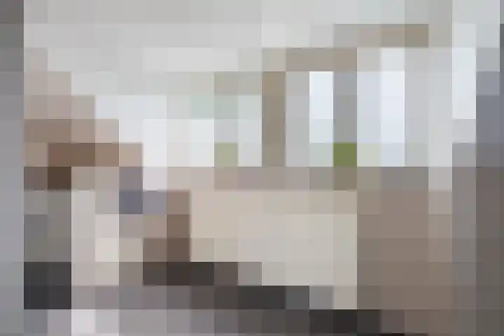 De Bus 19 Waalre thumbnail 27