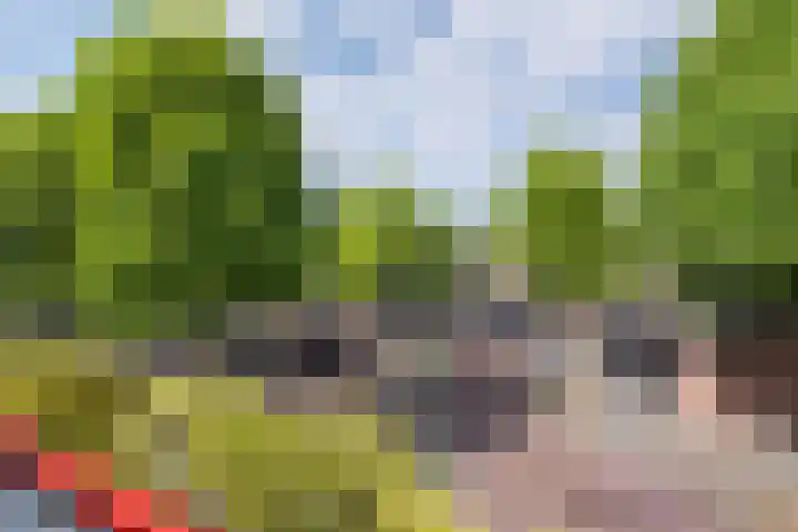 De Bus 19 Waalre thumbnail 29