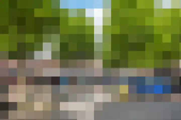 De Bus 19 Waalre thumbnail 30