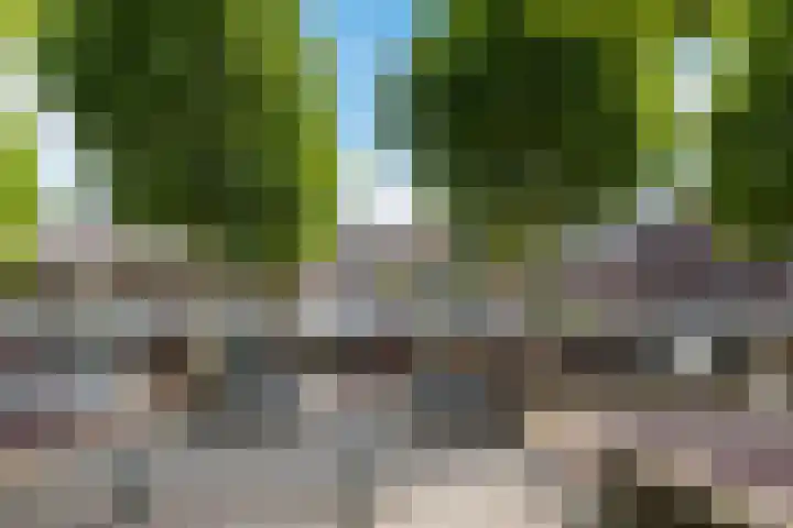 De Bus 19 Waalre thumbnail 31