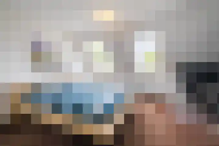 De Bus 19 Waalre thumbnail 4