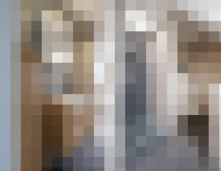 De Bus 19 Waalre thumbnail 5
