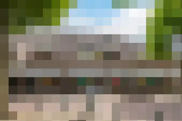 De Bus 19 Waalre thumbnail 6