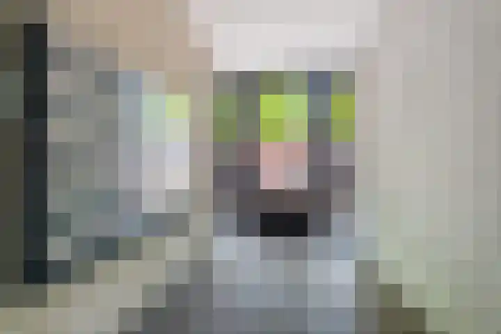 De Bus 19 Waalre thumbnail 8