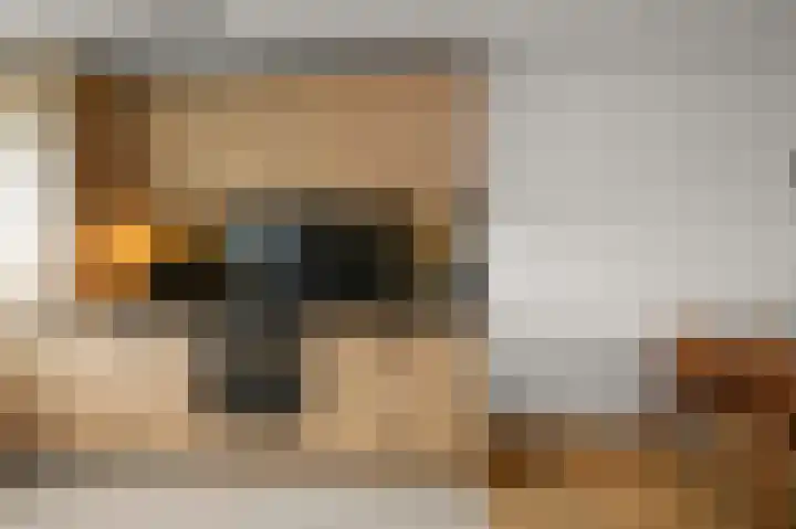 De Busken 19 Assendelft thumbnail 11