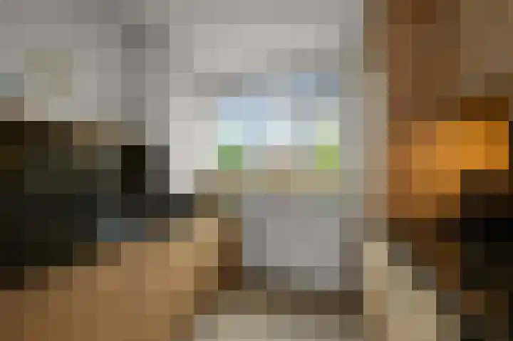 De Busken 19 Assendelft thumbnail 13