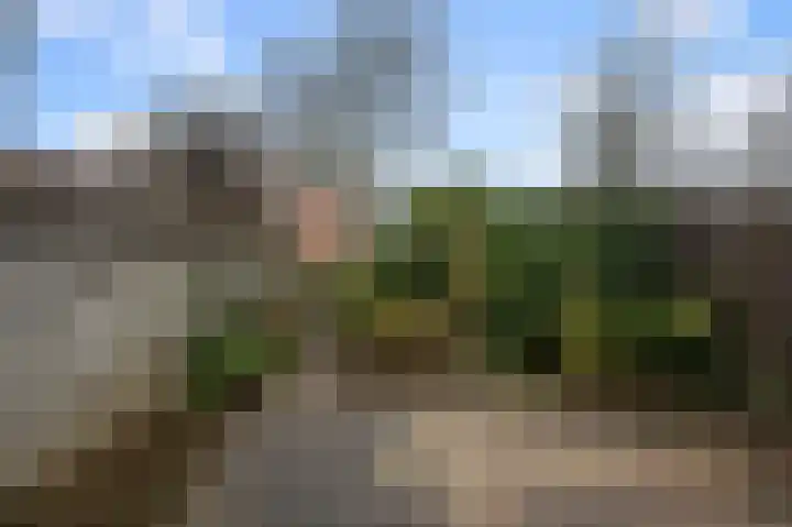 De Busken 19 Assendelft thumbnail 17