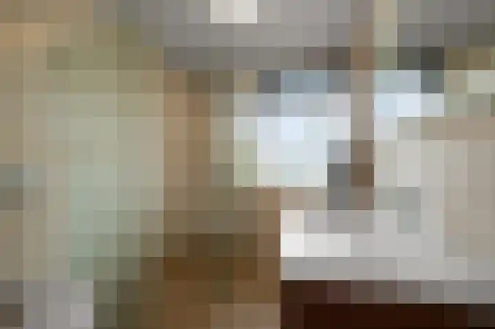 De Busken 19 Assendelft thumbnail 31