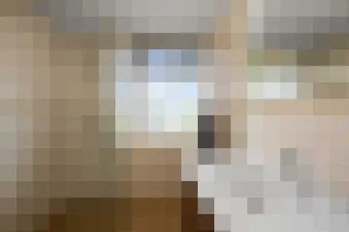De Busken 19 Assendelft thumbnail 33