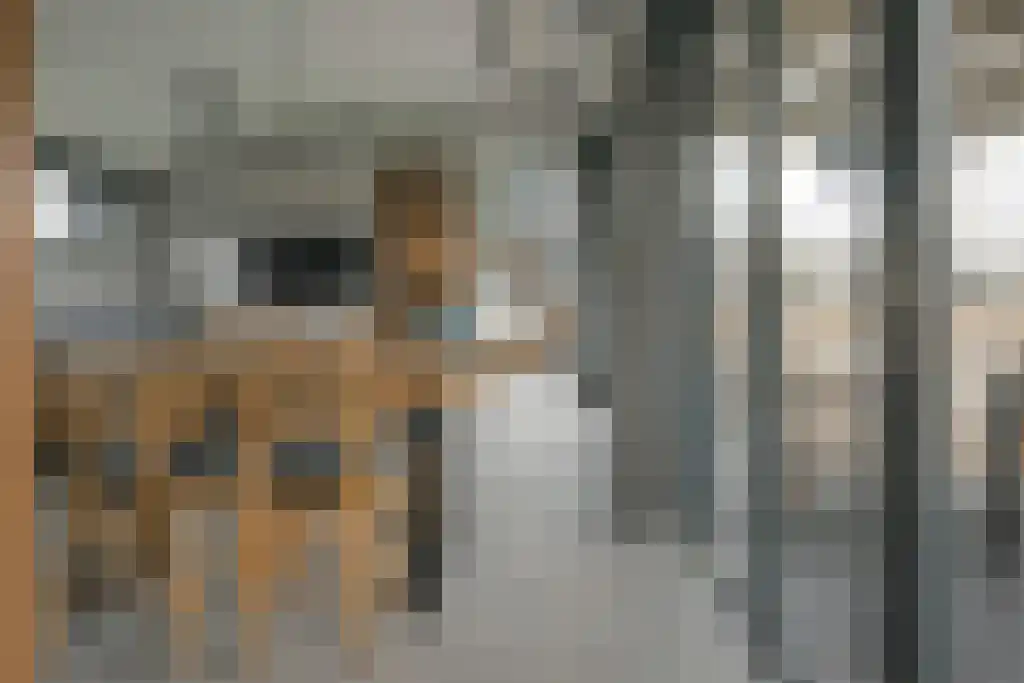 De Bûtertonne 38 Delfstrahuizen thumbnail 15