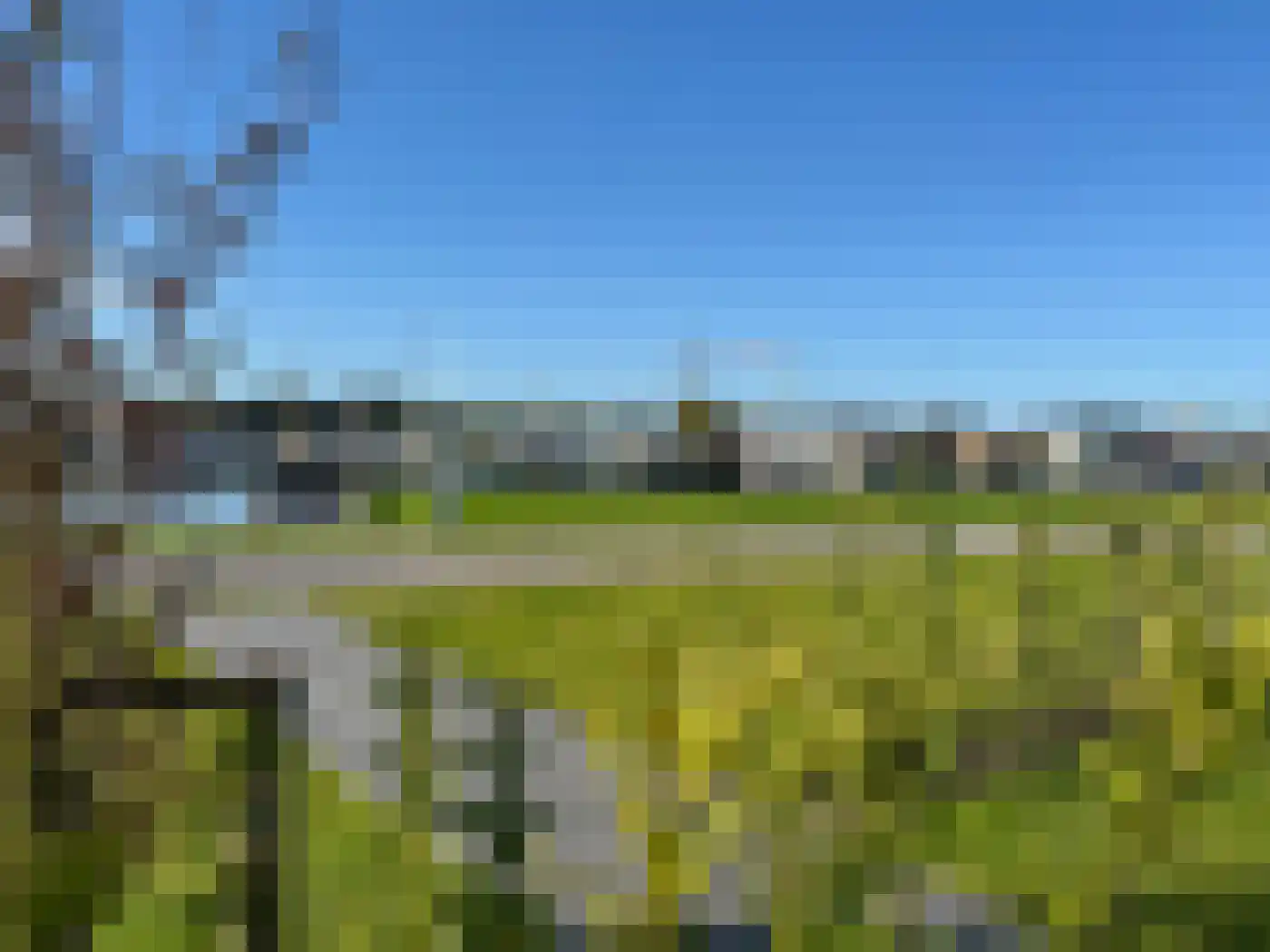 De Bûtertonne 38 Delfstrahuizen thumbnail 7