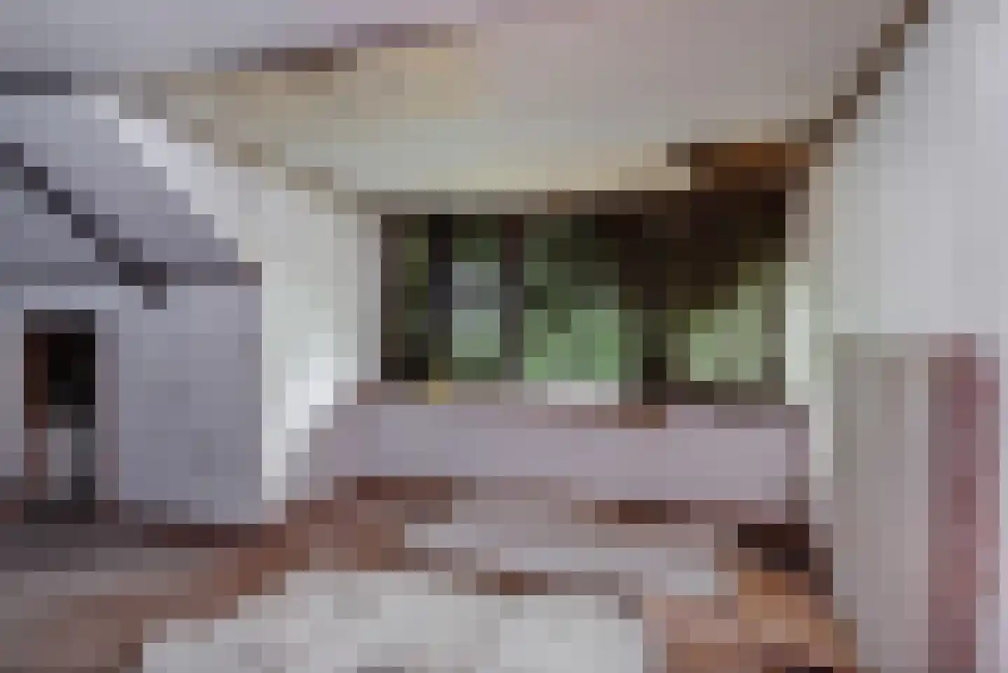 De Buurt 43 Venhuizen thumbnail 22