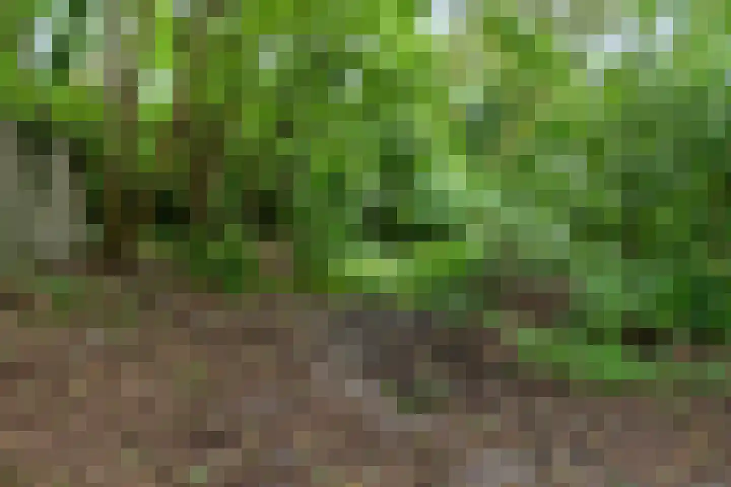 De Buurt 43 Venhuizen thumbnail 32