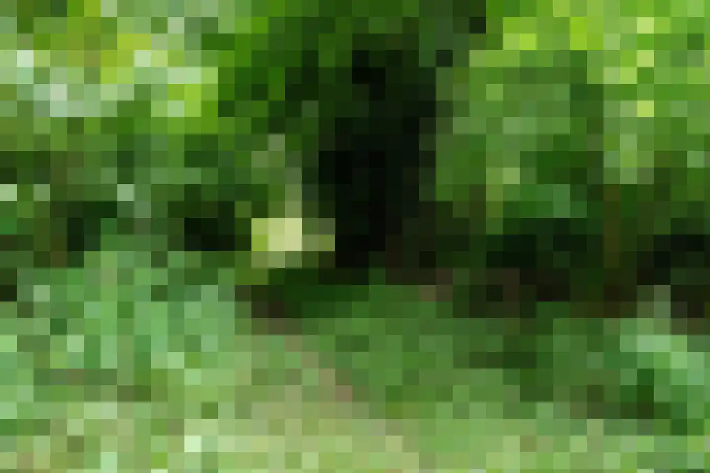 De Buurt 43 Venhuizen thumbnail 33