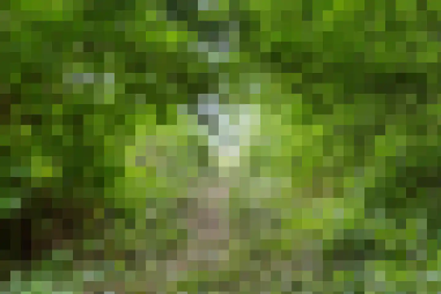 De Buurt 43 Venhuizen thumbnail 34