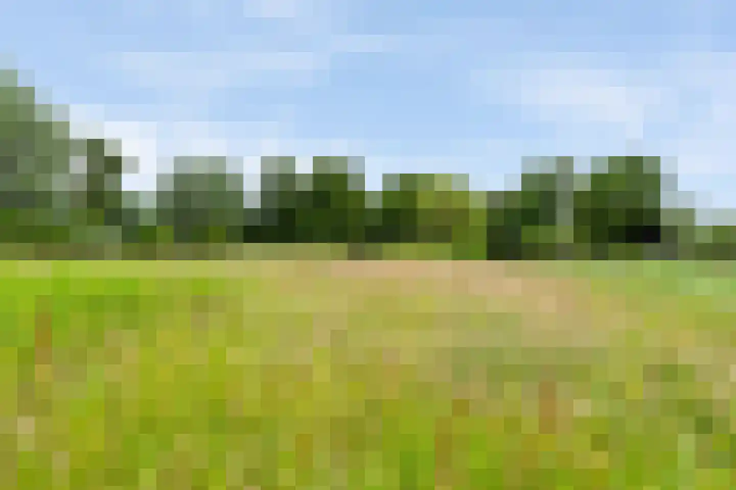 De Buurt 43 Venhuizen thumbnail 35