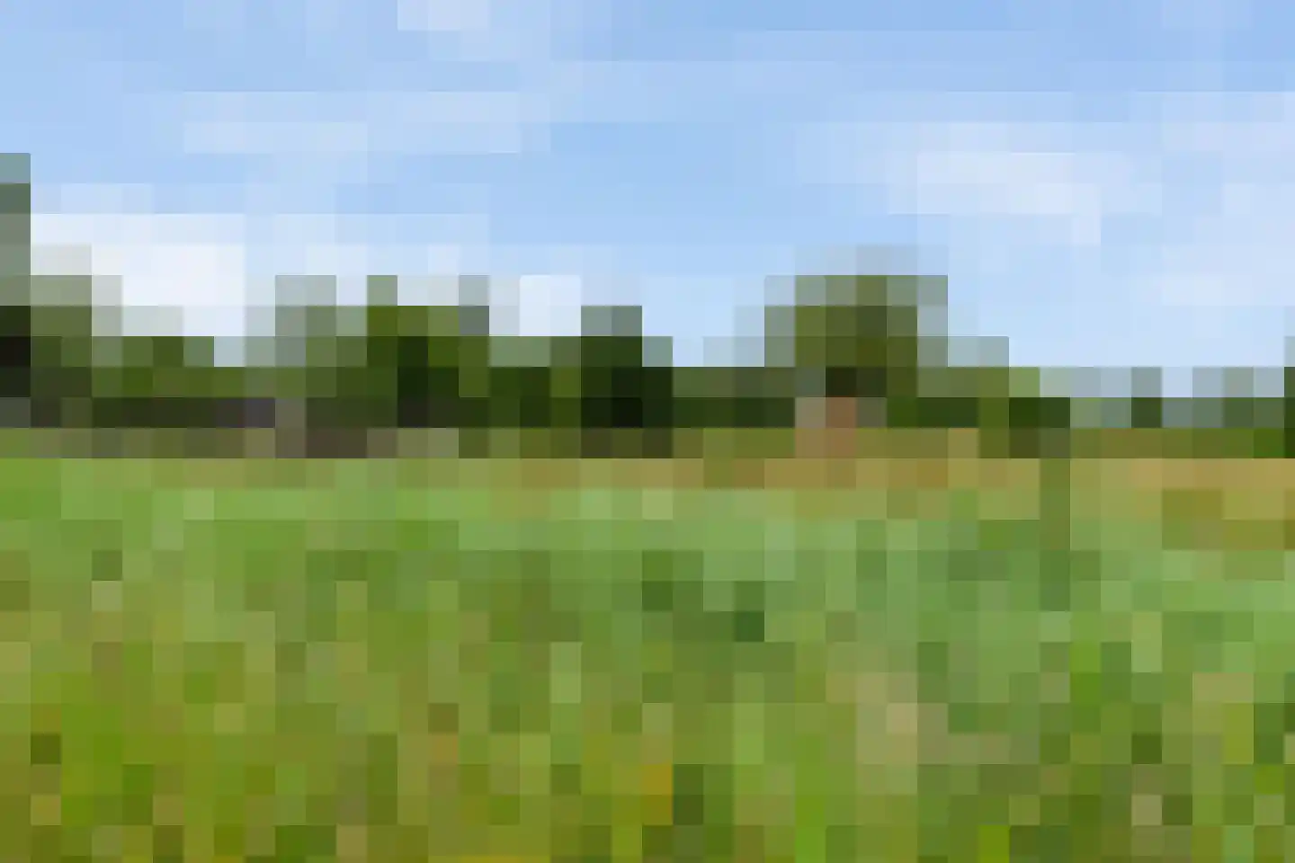 De Buurt 43 Venhuizen thumbnail 36