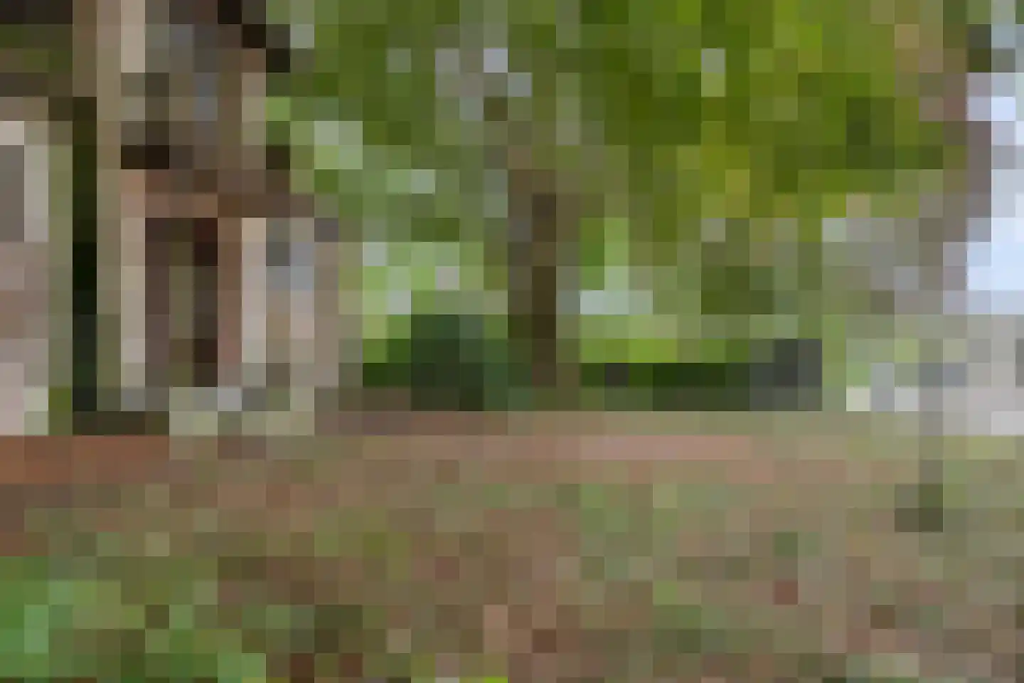 De Buurt 43 Venhuizen thumbnail 39