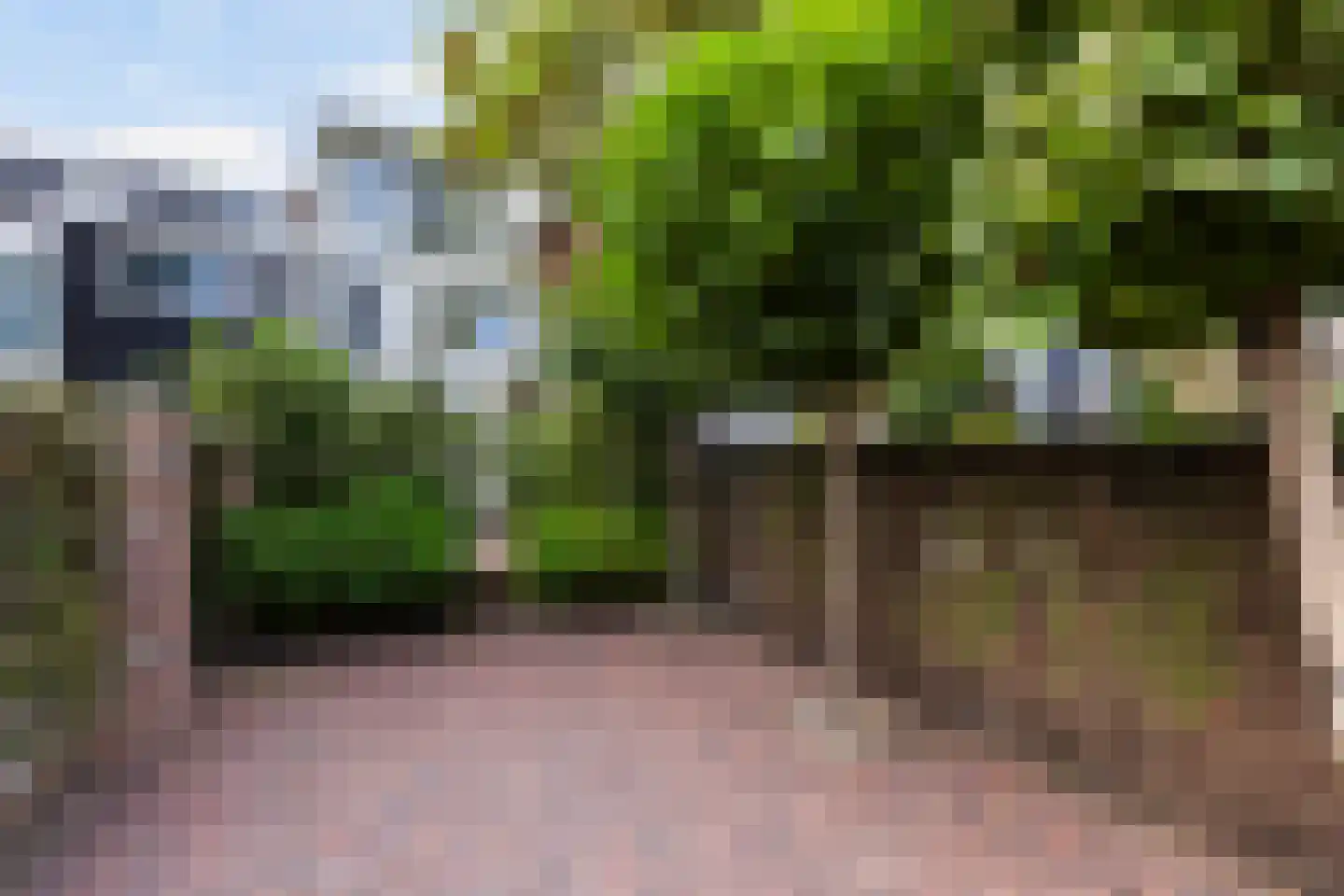 De Buurt 47 Hardinxveld-Giessendam thumbnail 30