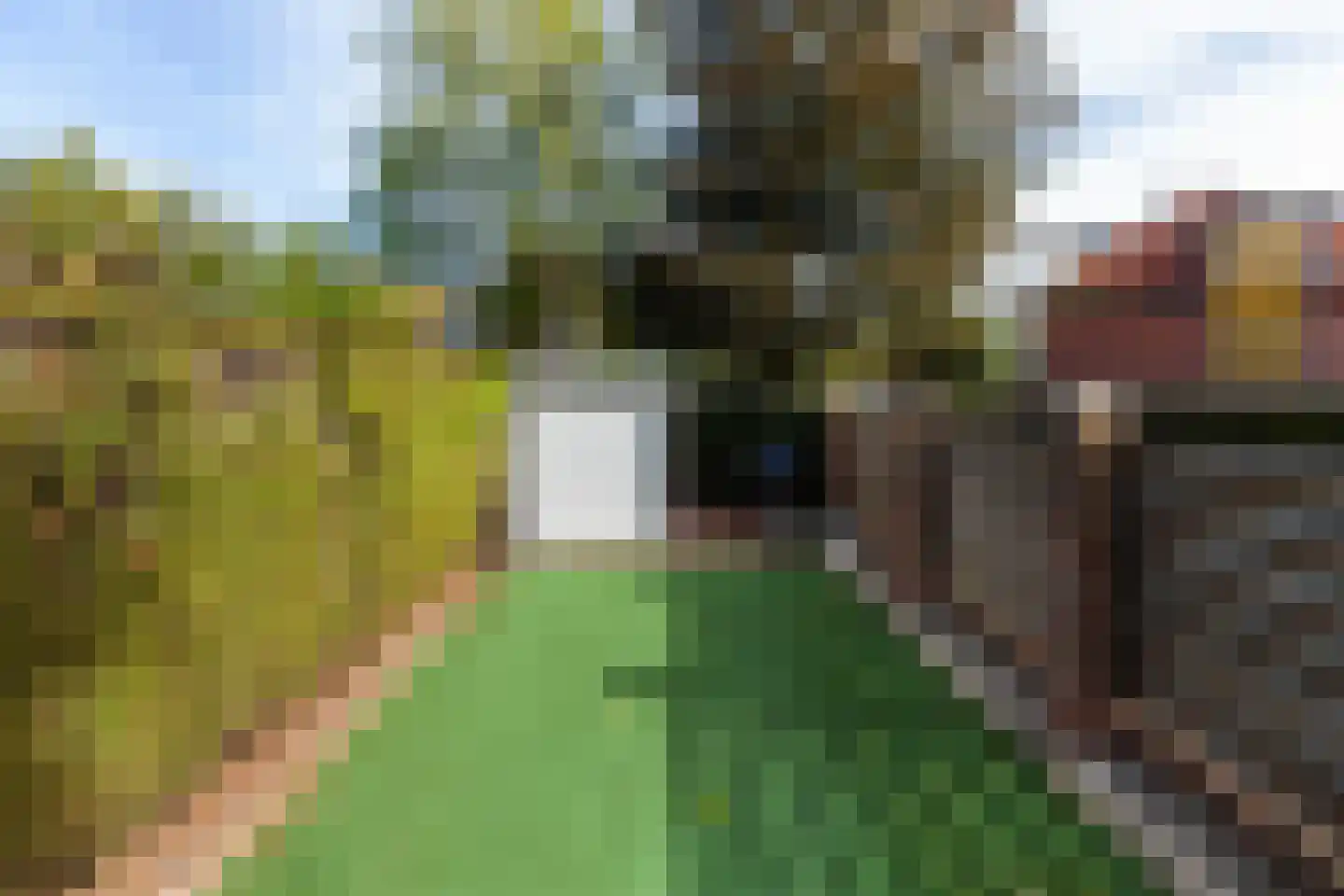 De Buurt 47 Hardinxveld-Giessendam thumbnail 31
