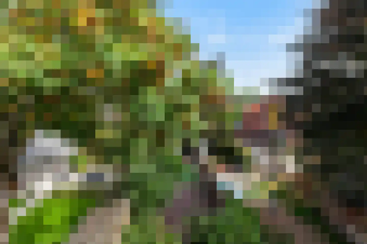 De Buurt 47 Hardinxveld-Giessendam thumbnail 34