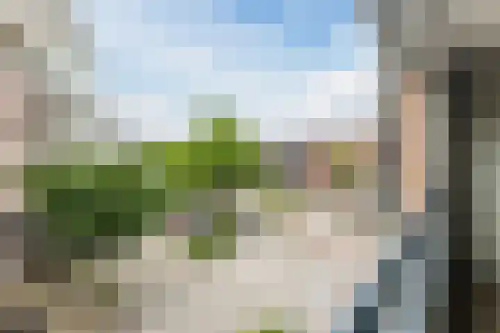 de Callenburgh 22 Helmond thumbnail 22