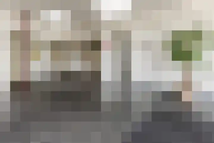 de Callenburgh 22 Helmond thumbnail 8