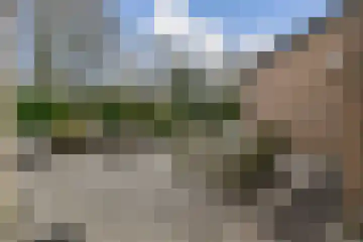 de Ceder 6 Bergschenhoek thumbnail 10