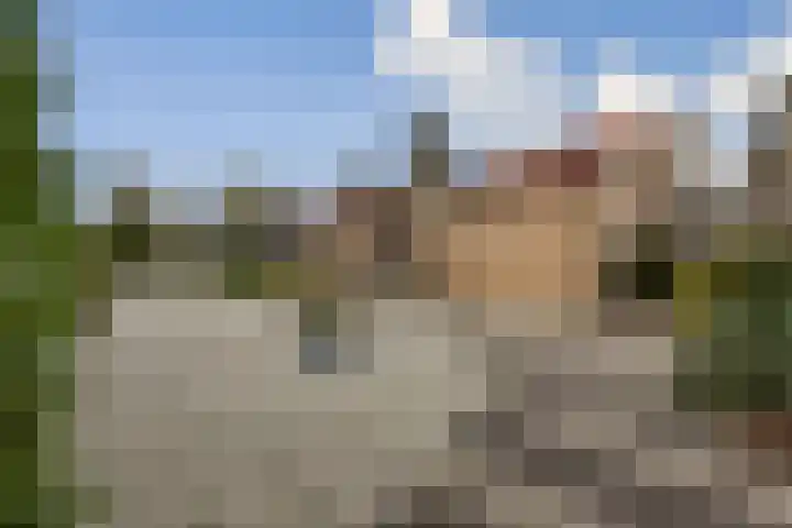 de Ceder 6 Bergschenhoek thumbnail 12