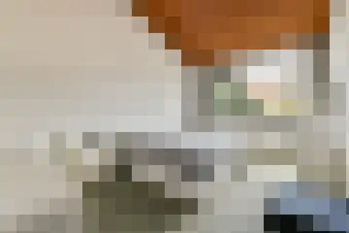 de Ceder 6 Bergschenhoek thumbnail 15