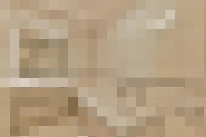 de Ceder 6 Bergschenhoek thumbnail 17