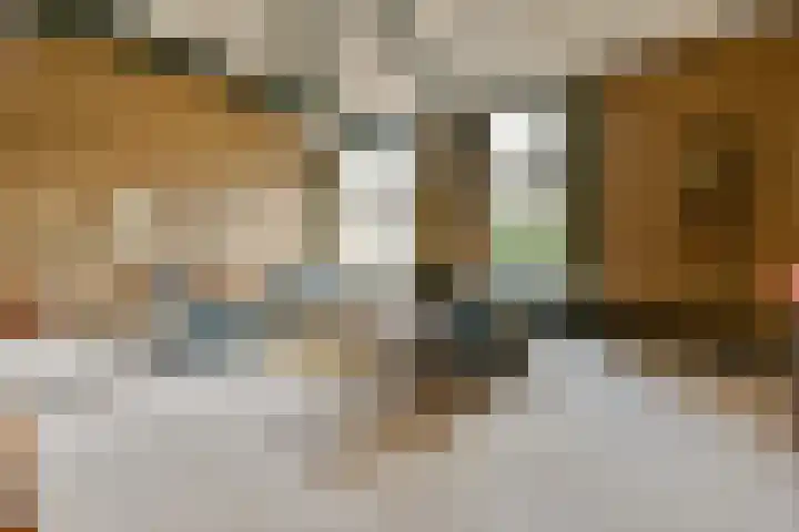de Ceder 6 Bergschenhoek foto 2