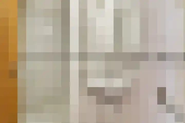de Ceder 6 Bergschenhoek thumbnail 20