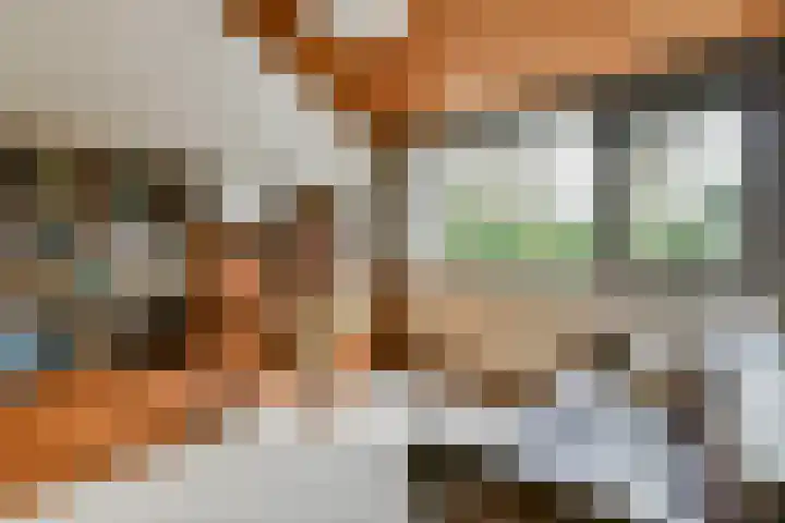 de Ceder 6 Bergschenhoek thumbnail 21