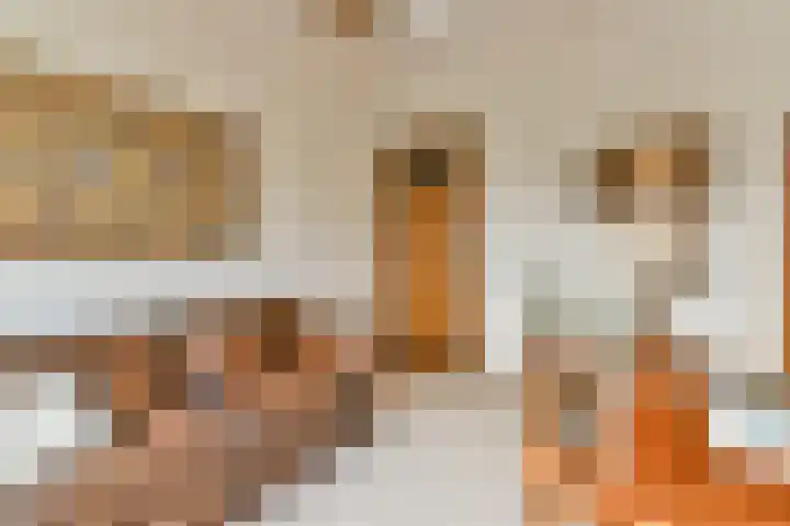de Ceder 6 Bergschenhoek thumbnail 22