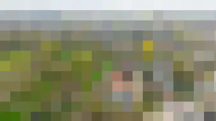 de Ceder 6 Bergschenhoek thumbnail 29