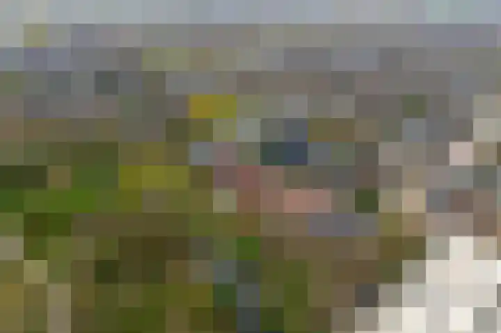 de Ceder 6 Bergschenhoek thumbnail 4