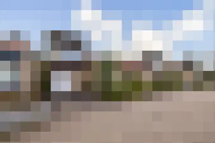 de Ceder 6 Bergschenhoek thumbnail 5