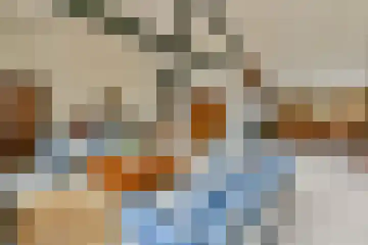 de Ceder 6 Bergschenhoek thumbnail 7