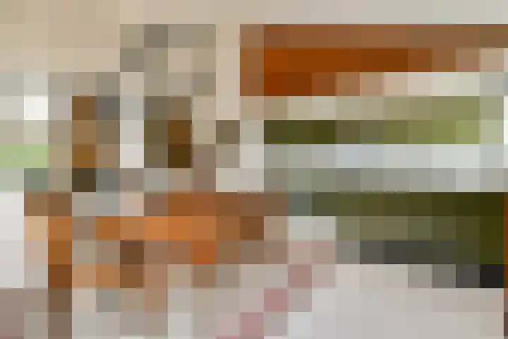 de Ceder 6 Bergschenhoek thumbnail 8