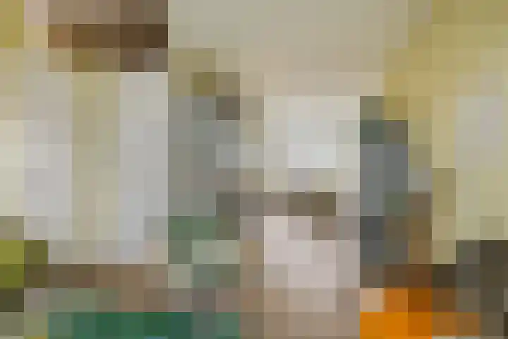 De Centrale 39 Coevorden thumbnail 9
