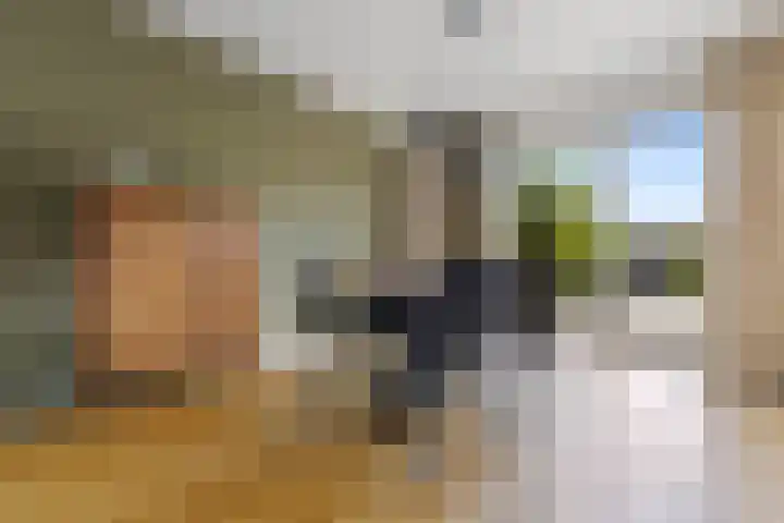 de Chamillylaan 15 Grave thumbnail 10