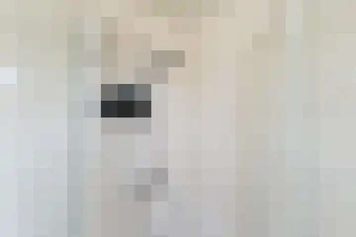 de Chamillylaan 15 Grave thumbnail 27